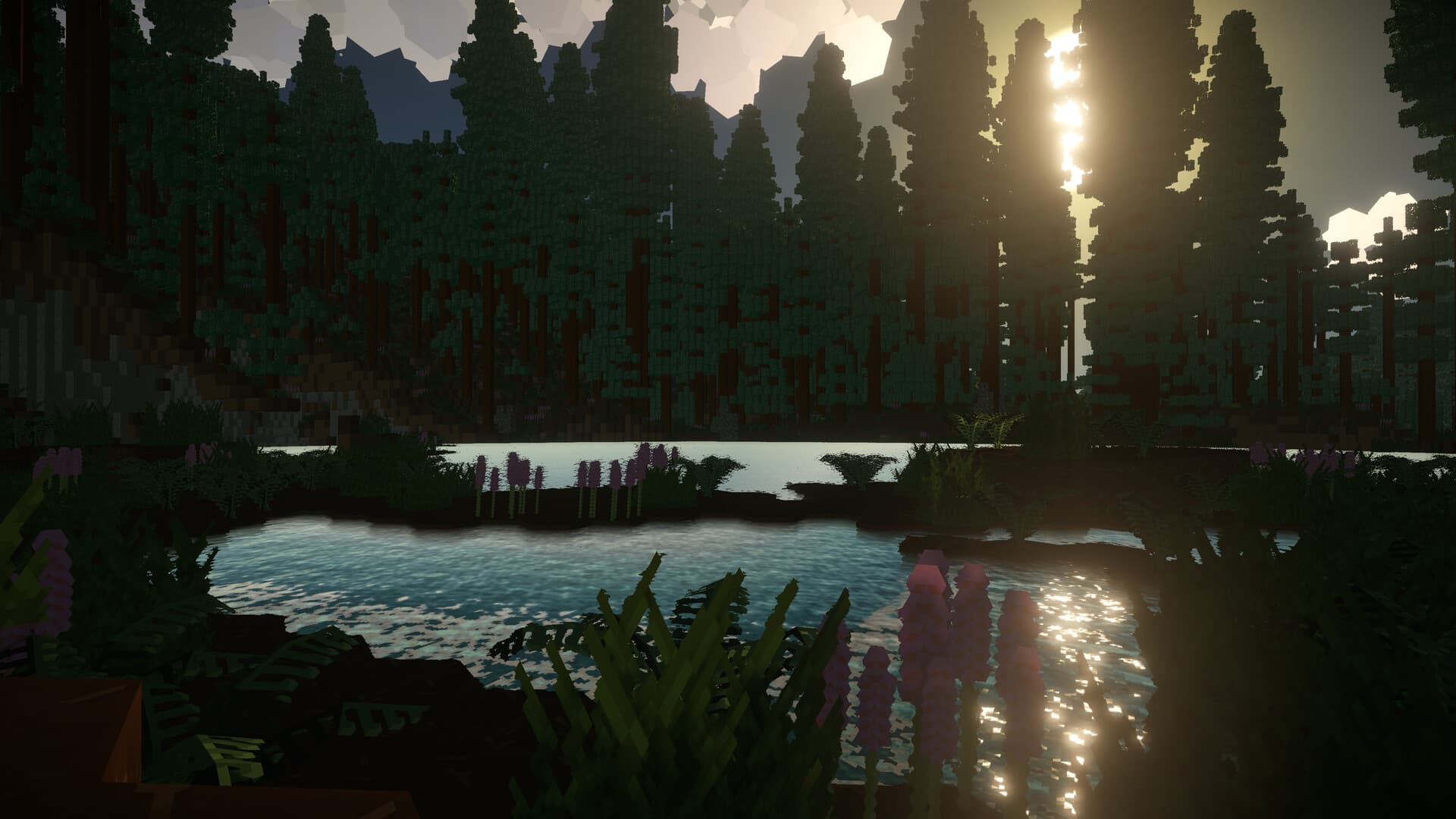A quiet forest lake glowing at sunset