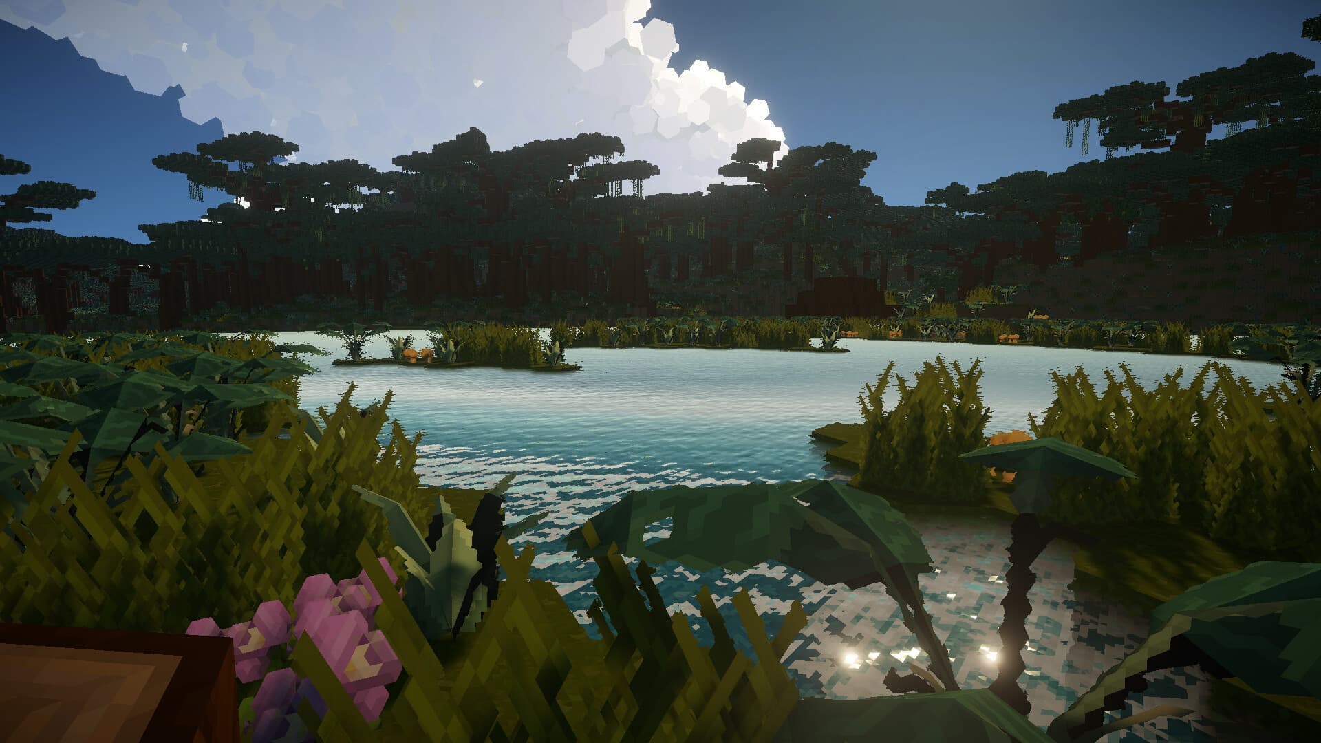 A jungle lake surrounded by canopy trees