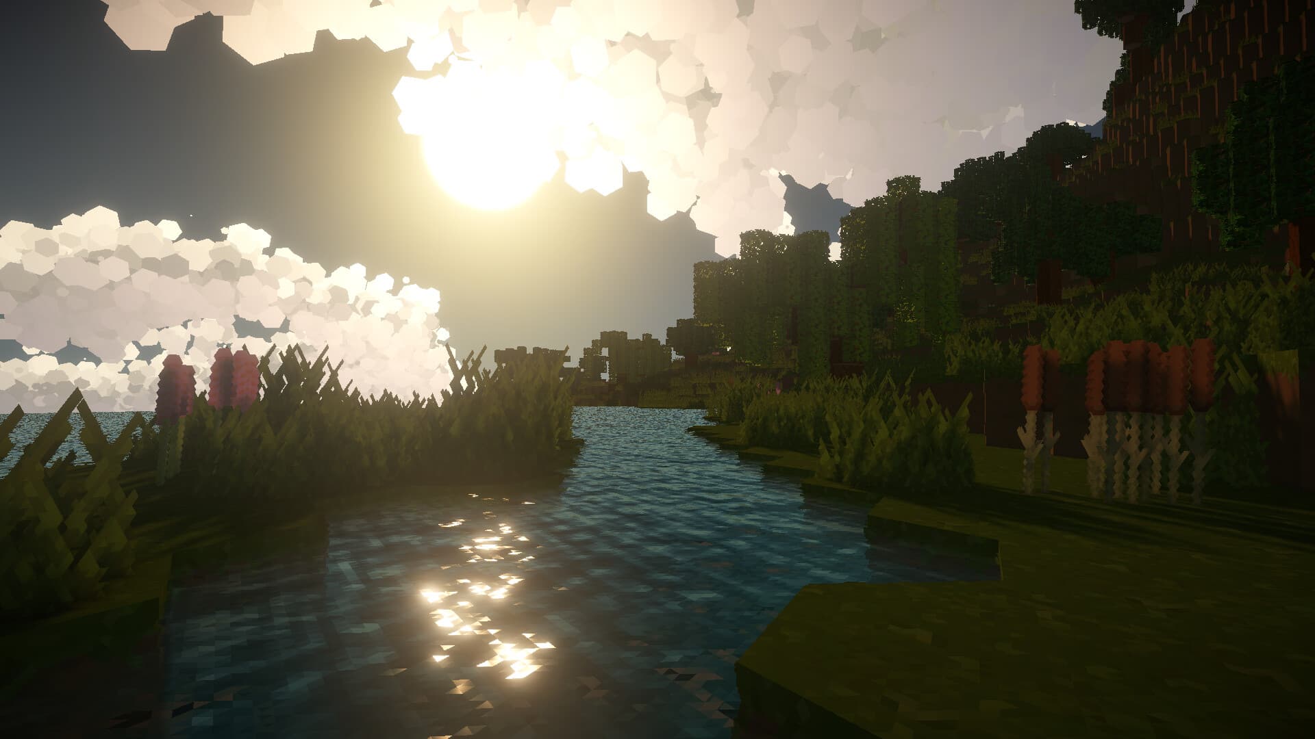 Golden sunlight over a reed-lined shoreline